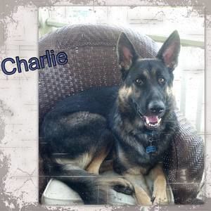 Meet your Posher, Lynn